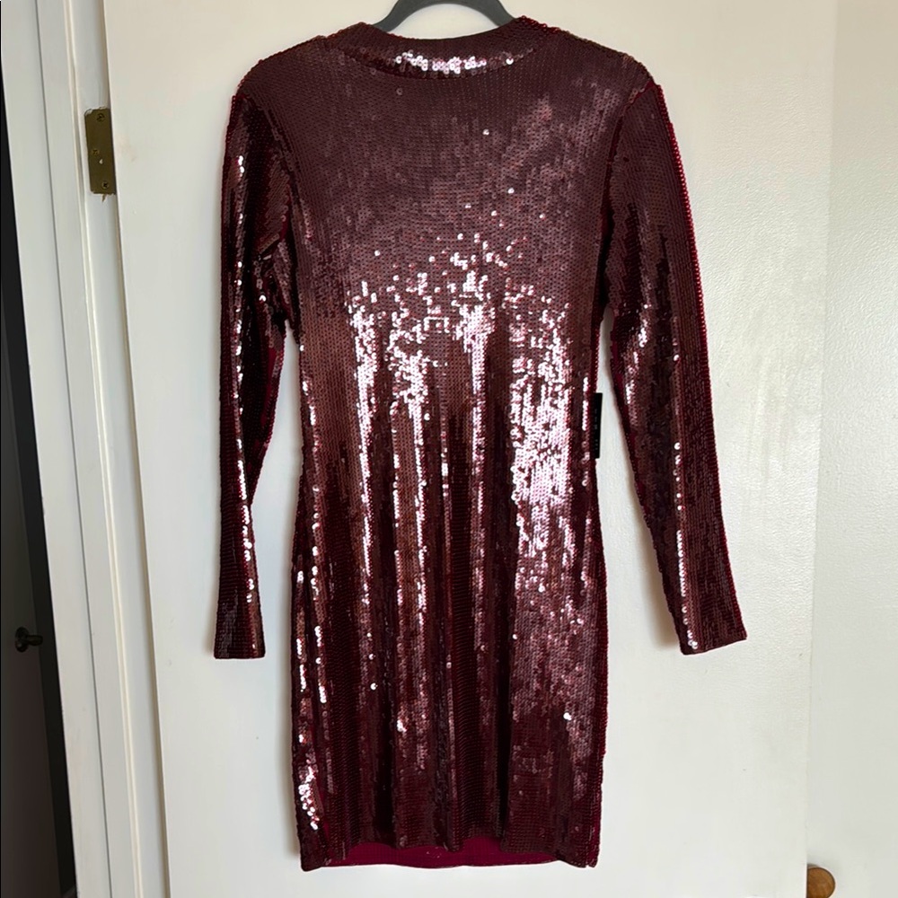 Express Burgundy Sequin Long Sleeve Dress